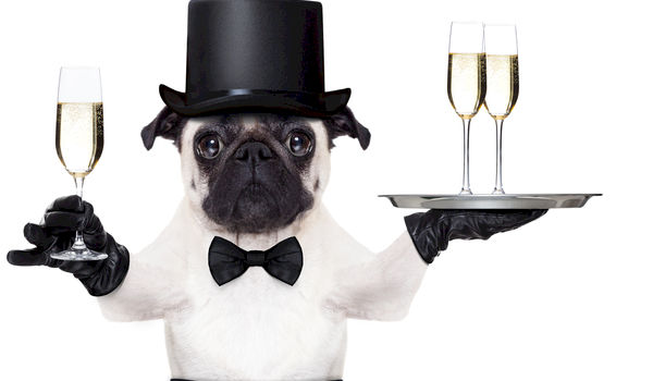 How to Set Up a Hospitality Plan for Your Attendees How to Set Up a Hospitality Plan for Your Attendees